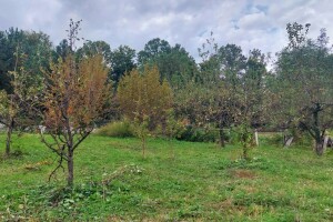 Još nije vrijeme za tretiranje bakarnim sredstvima - do kada čekati?
