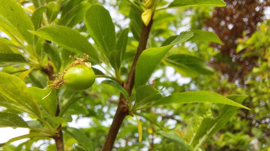Od srijede temperature ponegdje oko 0°C - objavljena srednjoročna vremenska prognoza