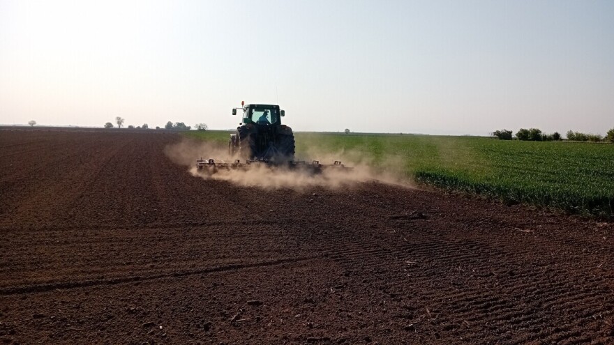 Pripreme za setvu kukuruza: Plodored kao važna mera protiv kukuruzne zlatice