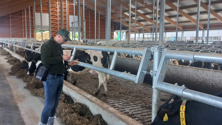 Šta se dešava sa proizvodnjom hraniva za stoku u Rusiji?