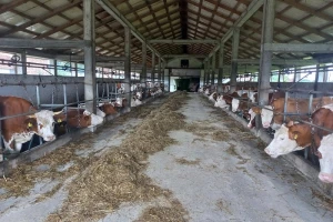 Stočari žele naprijed, Kancelarija za veterinarstvo BiH ih blokira?