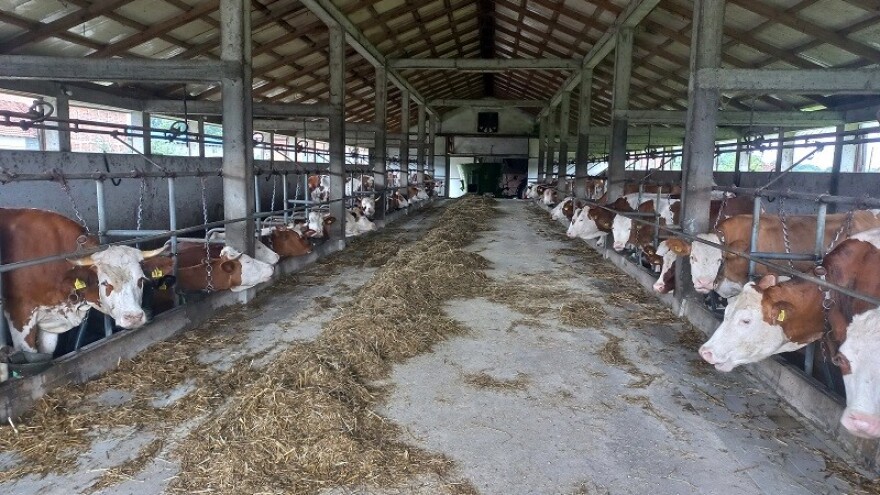 Stočari žele naprijed, Kancelarija za veterinarstvo BiH ih blokira?