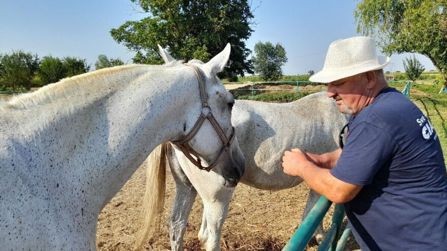 Jahanje kroz slavonske njive posebna je draž