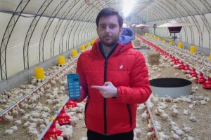 "Podloga" od 10.000 pilića kao ideja za aplikaciju - zbogom komplikovanoj papirologiji