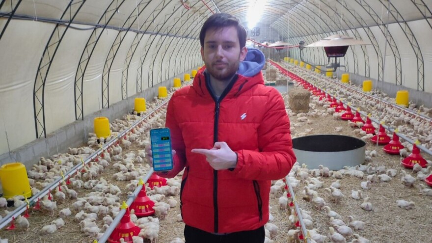 "Podloga" od 10.000 pilića kao ideja za aplikaciju - zbogom komplikovanoj papirologiji