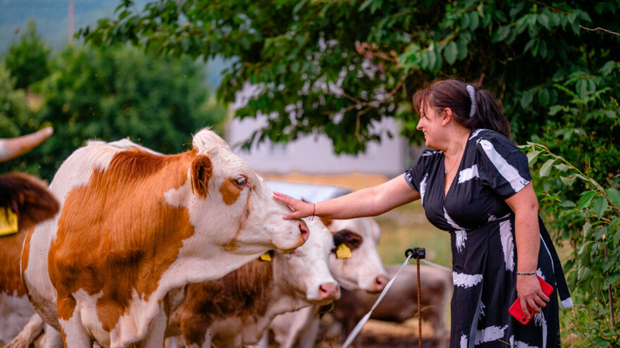 Nikolina Anić: Nama može faliti, kravama ne smije