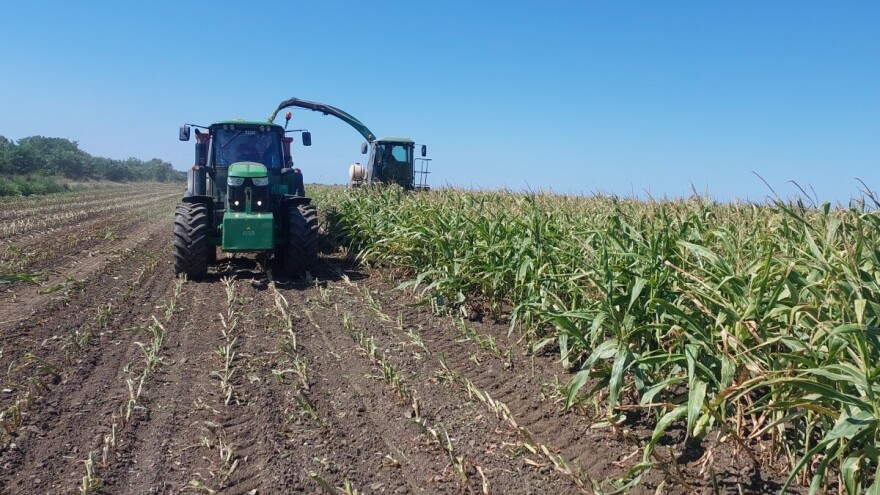 Umerena i jaka suša na krajnjem severu zemlje, usevi trpe posledice