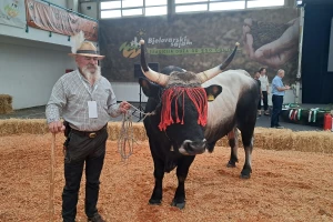 Oni su bili u fokusu sajma u Gudovcu, imamo šampione 32. Državne stočarske izložbe