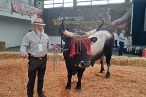 Oni su bili u fokusu sajma u Gudovcu, imamo šampione 32. Državne stočarske izložbe