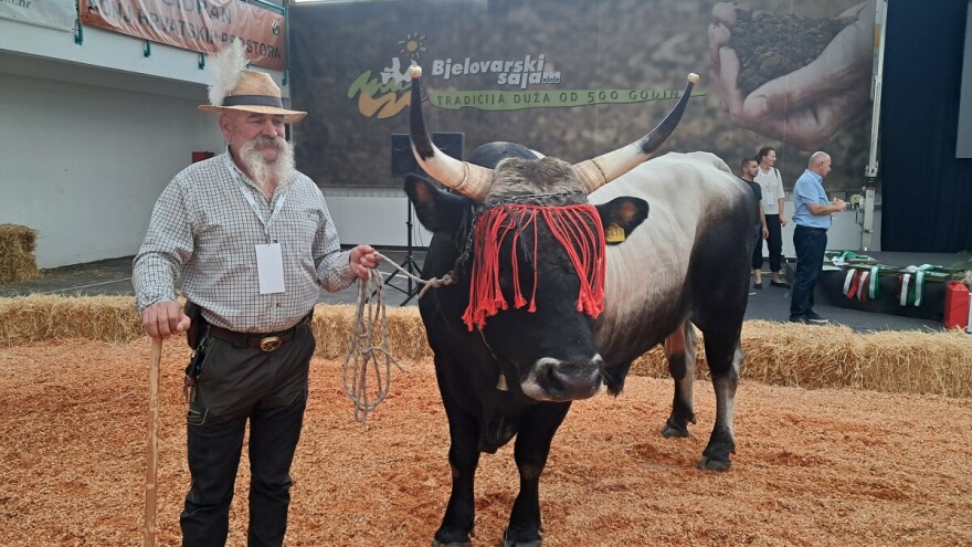 Oni su bili u fokusu sajma u Gudovcu, imamo šampione 32. Državne stočarske izložbe