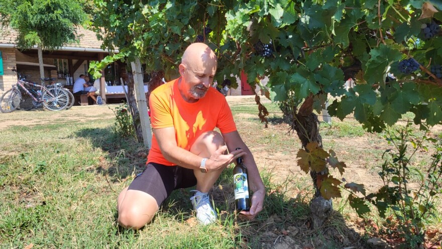 Biciklizam, vinski podrumi i umjetnost: Tisuće posjetitelja na Wine & Bike Touru u Erdutu
