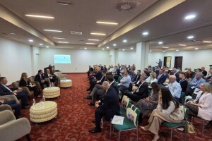 Novca ima, ali sistem škripi: Nepostojanje harmonizirane politike u BiH ograničava rast