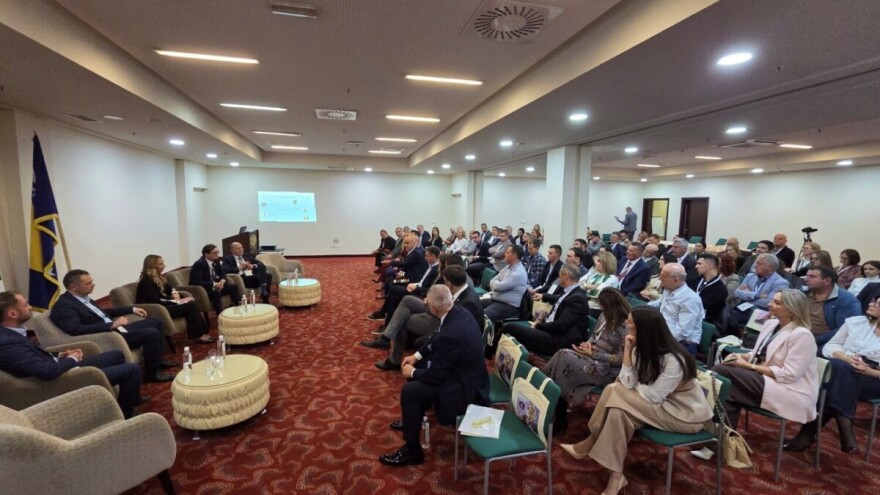 Novca ima, ali sistem škripi: Nepostojanje harmonizirane politike u BiH ograničava rast