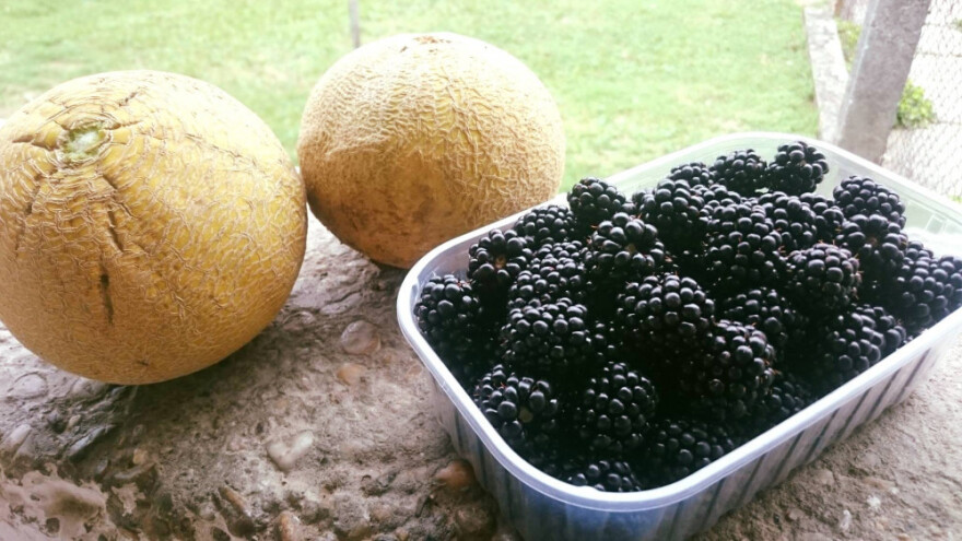 Trenutno stanje ne smije biti prepreka mladima