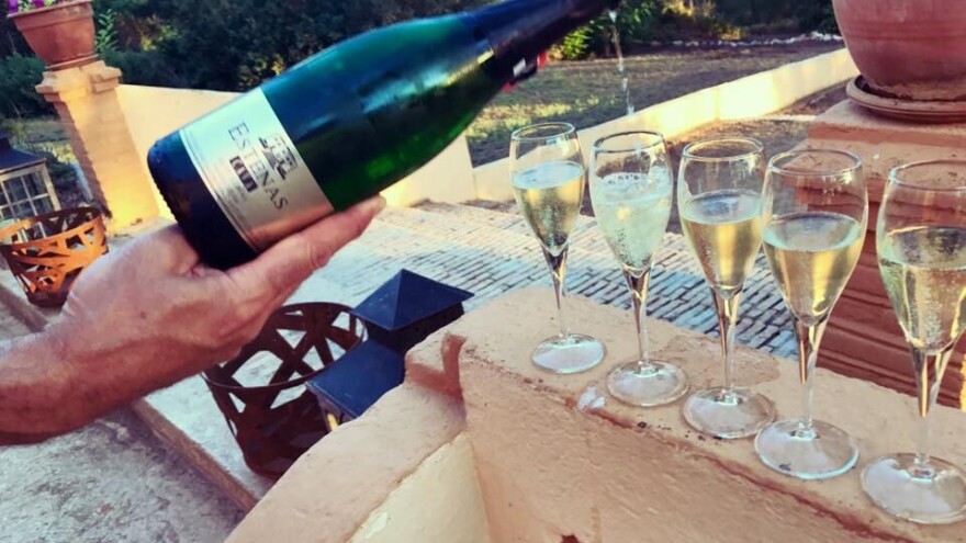 Vera de Estenas vina: Novi u registru zaštićenih oznaka porijekla