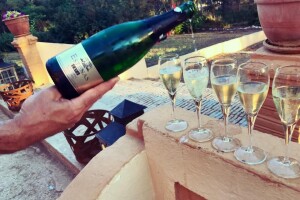 Vera de Estenas vina: Novi u registru zaštićenih oznaka porijekla