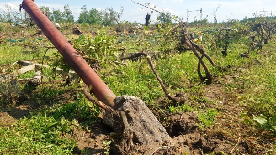 Tornado u Češkoj potpuno uništio vinograde - ostali goli trsovi, a podrumi poplavljeni