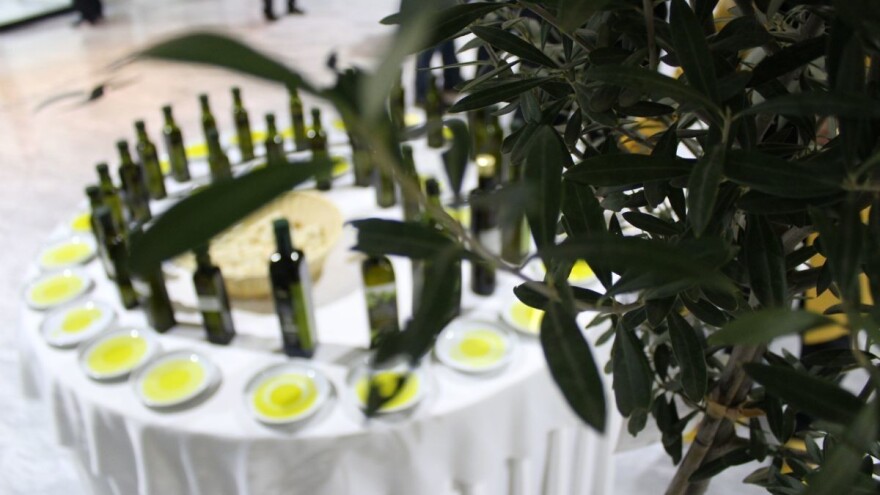 Stiže Noćnjak 2020.! Ove godine - ljetnog karaktera