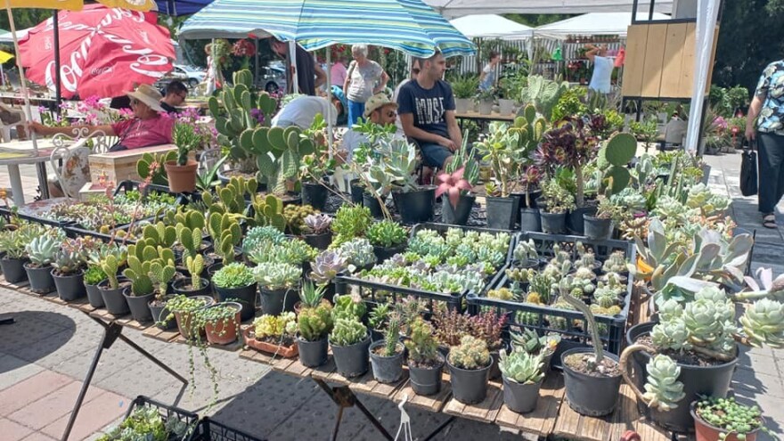 Novosadska cvetna pijaca ove godine 8. i 9. aprila