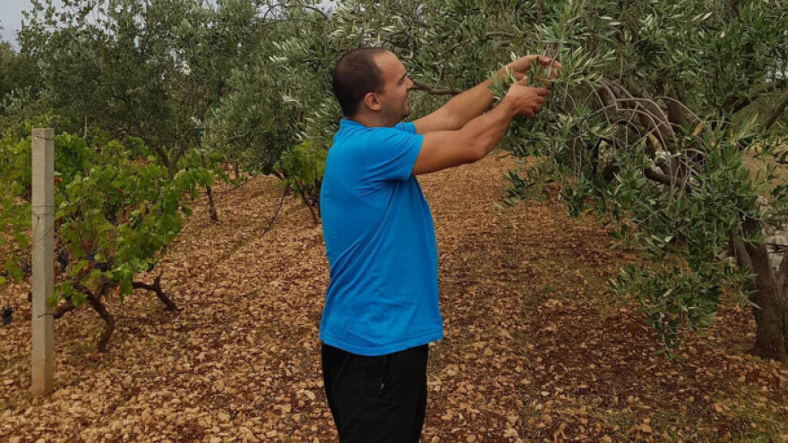 Brendirati i na tržište staviti domaći eko proizvod