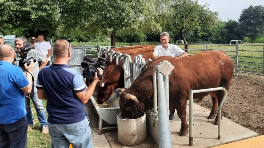 Otvoren Salers centar Croatia: Uzgoj ovih goveda sve popularniji