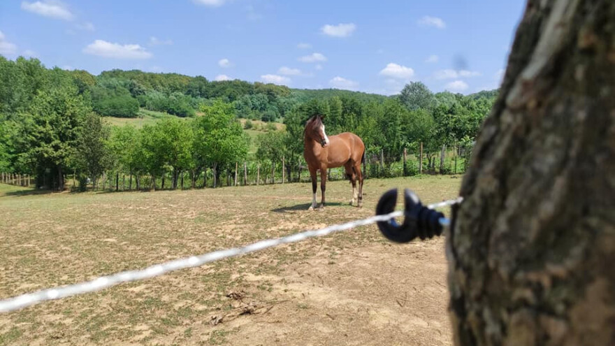 Na šta paziti kod postavljanja električnog pastira?