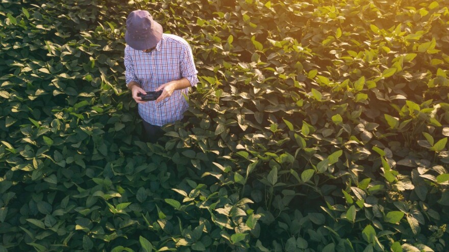 Krenule kontrole na terenu izravne potpore za 2021. godinu
