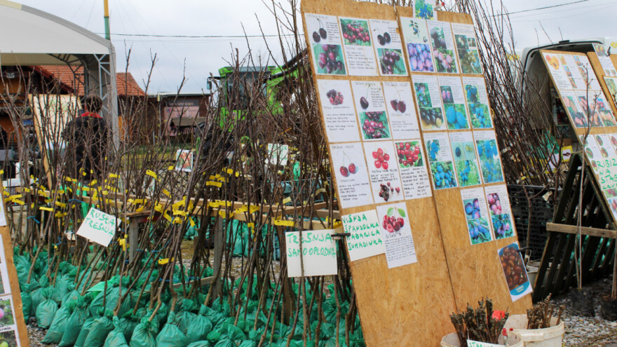 Nove referentne cijene sadnica za natječaj tipa operacije 5.2.1