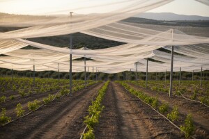 2,2 milijuna kuna isplaćeno za još 3 završena IPARD projekta