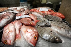 Pet milijuna kuna za projekt "Rekonstrukcija ribarnice Biograd na Moru"