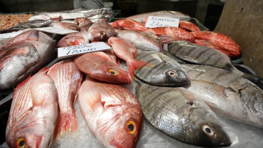 Pet milijuna kuna za projekt "Rekonstrukcija ribarnice Biograd na Moru"