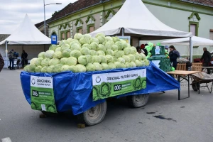 Futoški kupus podbacio ove godine - cena dobra?