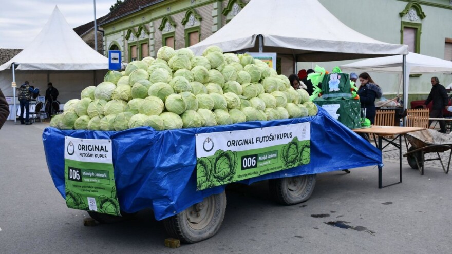 Futoški kupus podbacio ove godine - cena dobra?
