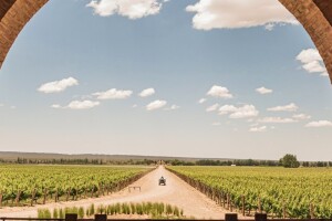 Predstavljamo pet najboljih svjetskih vinograda