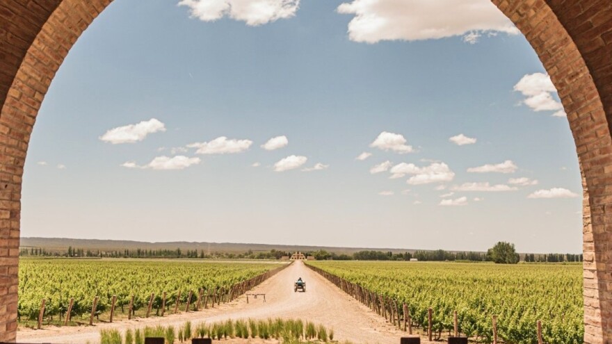 Predstavljamo pet najboljih svjetskih vinograda