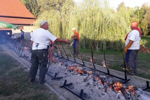 Idući vikend jubilarni, 25. Ribarski dani u Kopačevu