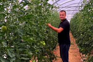 Dženan Bašić: Uzgojili smo vlastito povrće od sjemena do ploda