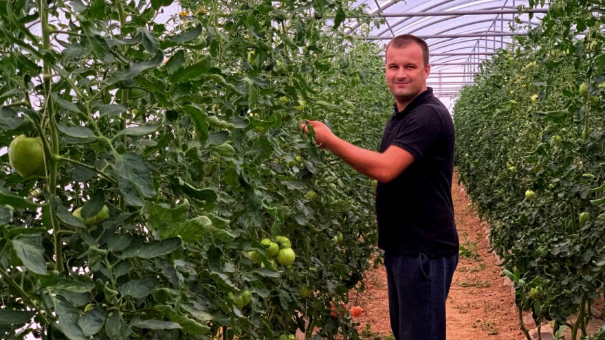 Dženan Bašić: Uzgojili smo vlastito povrće od sjemena do ploda