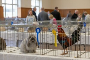 24. Izložba malih životinja