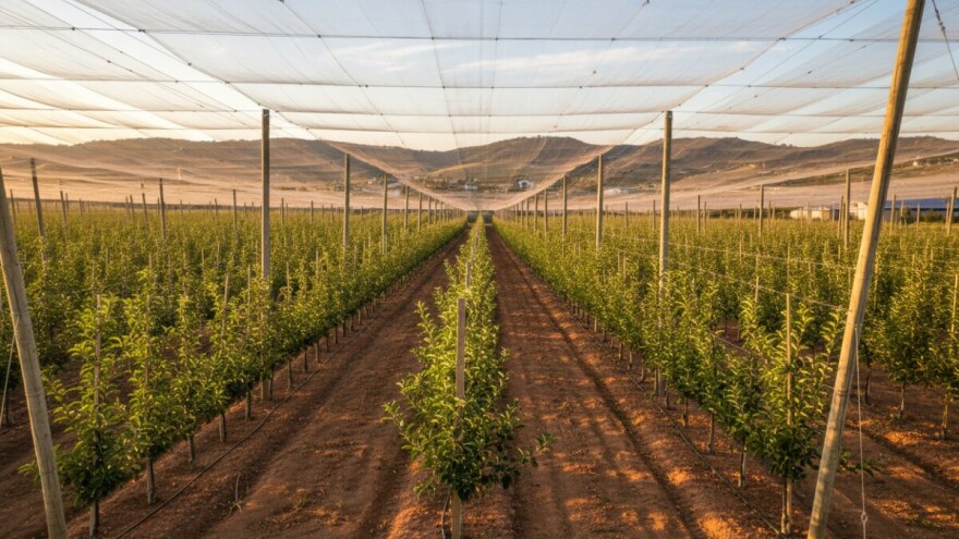 2,4 milijuna kuna za nasad jabuka