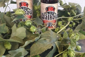 Hobi pretvorili u posao - supružnici Komšić u garaži otvorili craft pivovaru Walkow