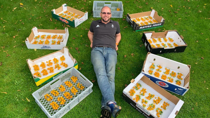 Oborio svetski rekord - na jednoj stabljici proizveo 839 plodova paradajza