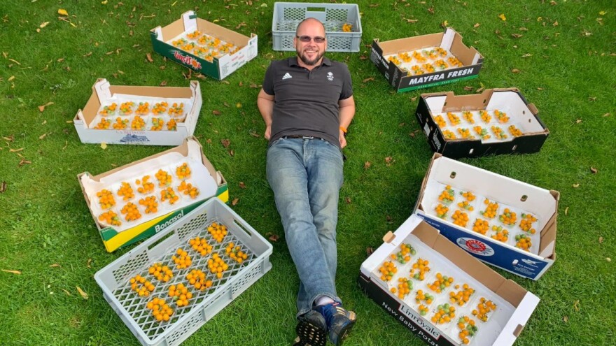 Srušio svjetski rekord - na jednoj stabljici uzgojio 839 rajčica