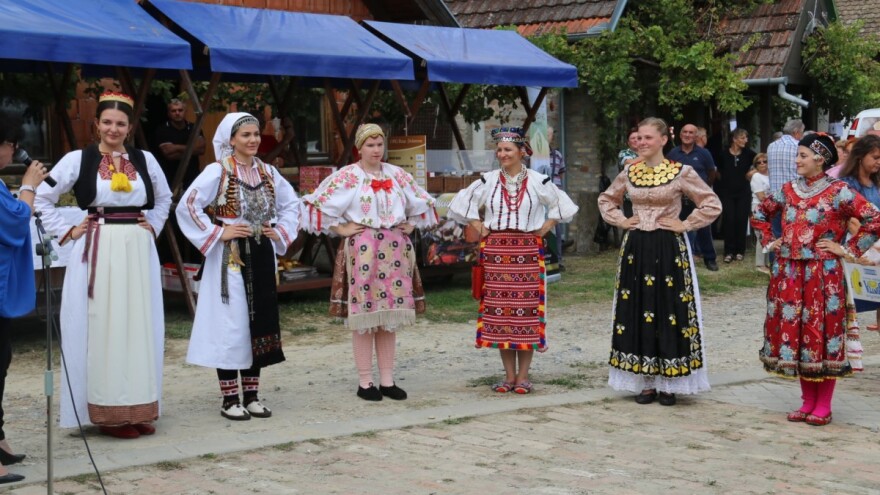 Dođite na Pudarinu u Gajiću - stari običaj čuvanja grožđa