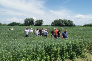 Na NUTRIS.fest-u saznajte više o uzgoju boba - prijavite se!