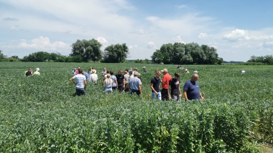 Na NUTRIS.fest-u saznajte više o uzgoju boba - prijavite se!