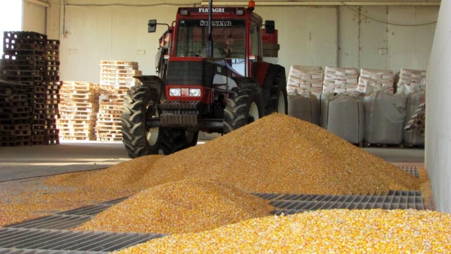 Iz Farmofita poručuju: Stočne hrane na domaćem tržištu neće faliti