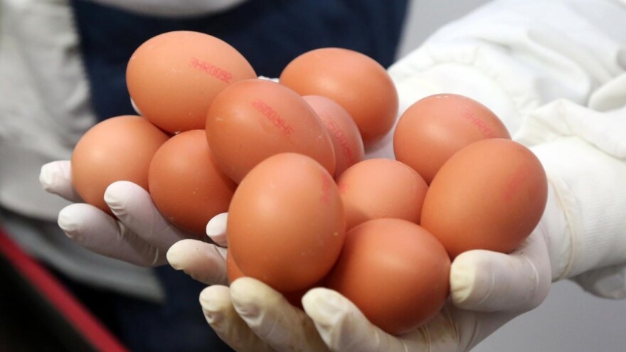Za konzumna jaja priznata oznaka "Dokazana kvaliteta - Hrvatska"