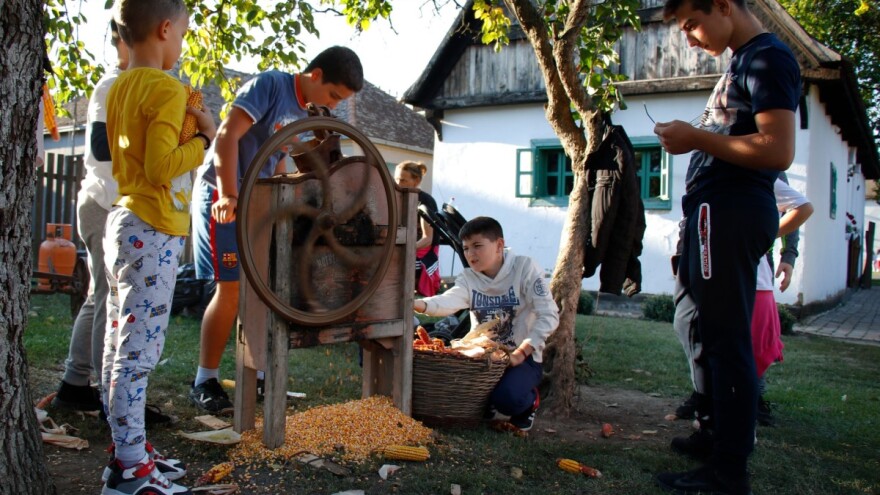 Festival kukuruza - "Kurzovina fest" od 7. do 10. oktobra u Ogaru