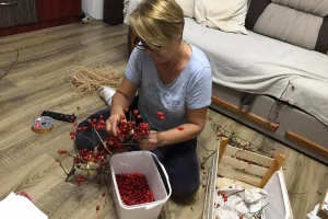 Cijela porodica zaljubljena u šipak, promijenio im je život na pozitivno